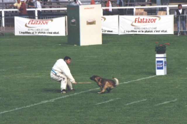 1999-jacopit et midway.jpg